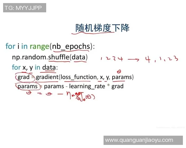 北京网球队运营分析：成功经验与面临挑战的深度探讨